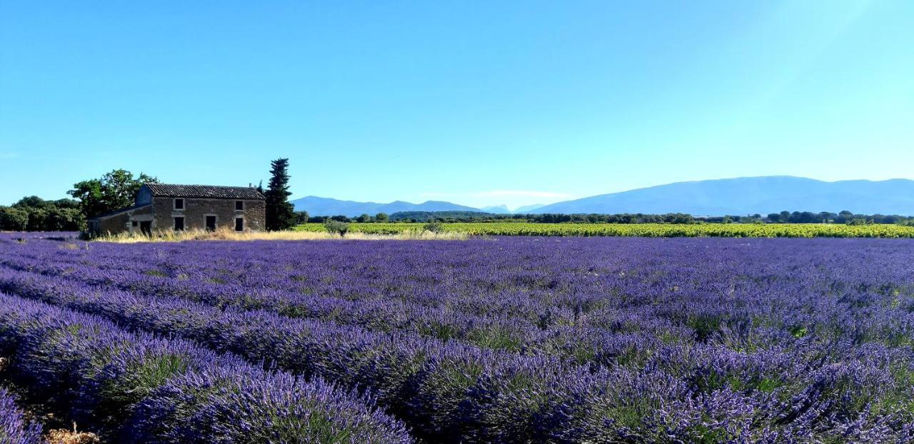 הוילה Valréas L'Instant Provence מראה חיצוני תמונה