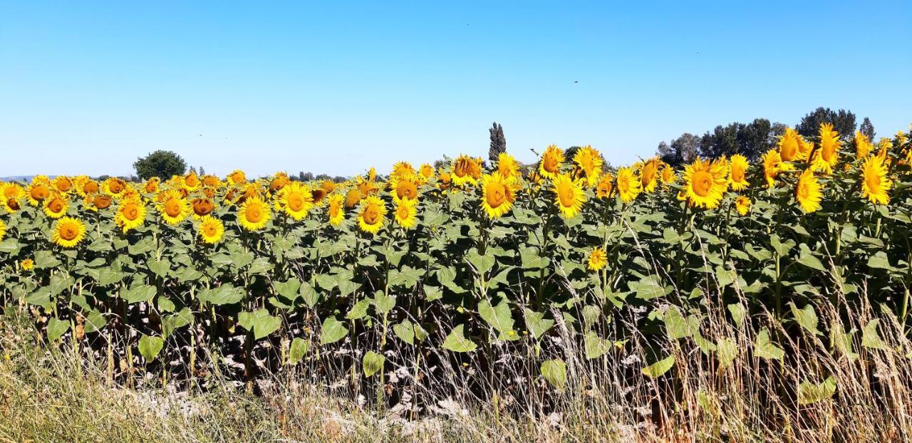 הוילה Valréas L'Instant Provence מראה חיצוני תמונה